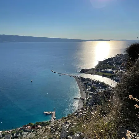 Pmb Oasis Omis