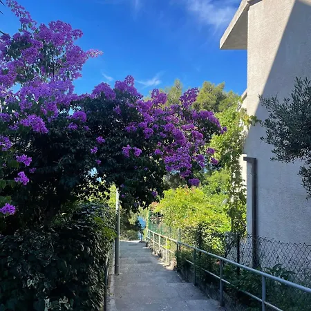 Pmb Oasis
